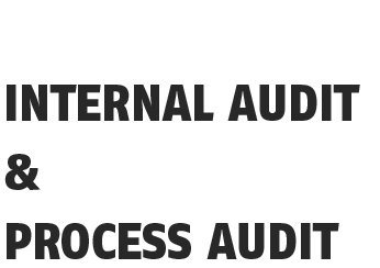 Internal-Audit-&-Process-Audit